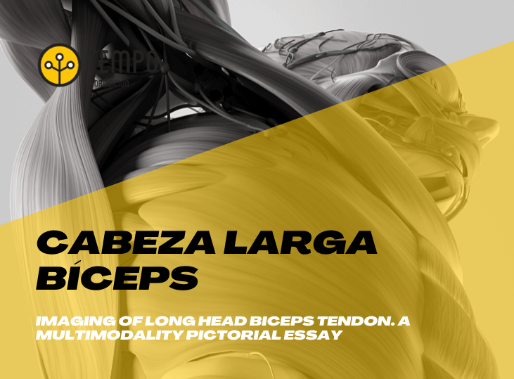 pruebas-imagen-tendon-largo-biceps-ecografia